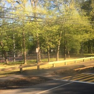 Meet your Posher, Isabella